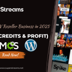 Start an IPTV Reseller Business in 2025